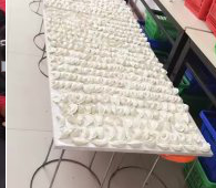 冬至來臨，公司員工一起來包＂扁食＂